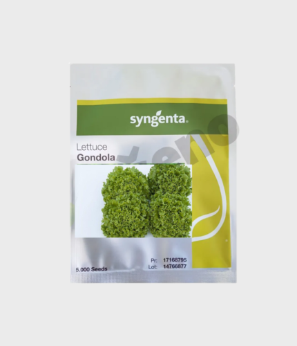 SJEME KRISTAL SALATE GONDOLA F1 (SYNGENTA) 5000sj