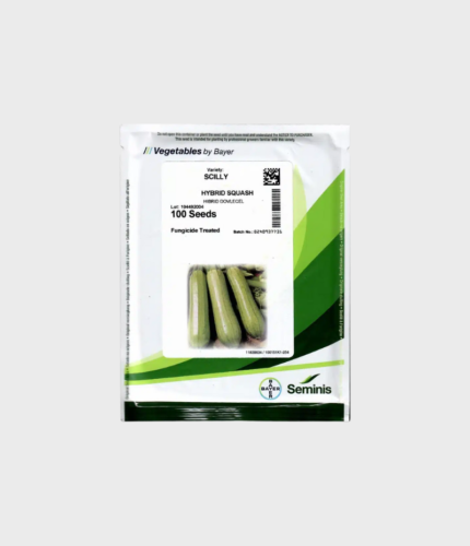 SJEME TIKVICE SCILLY F1 (SEMINIS) 500sj