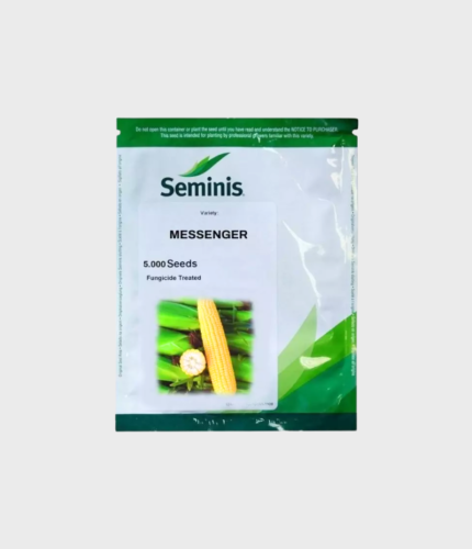 SJEME KUKURUZ ŠEĆERAC MESSENGER F1 (SEMINIS) 5000sj