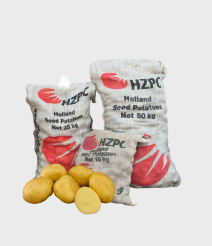 SJEME KROMPIRA SIFRA (HZPC) 55/65 A 25kg