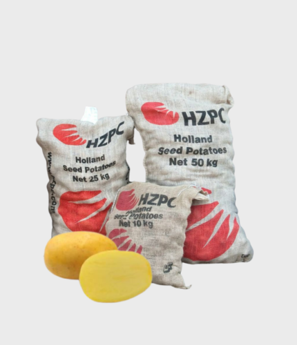 SJEME KROMPIRA AGRIA (HZPC) 55/65 A 25kg