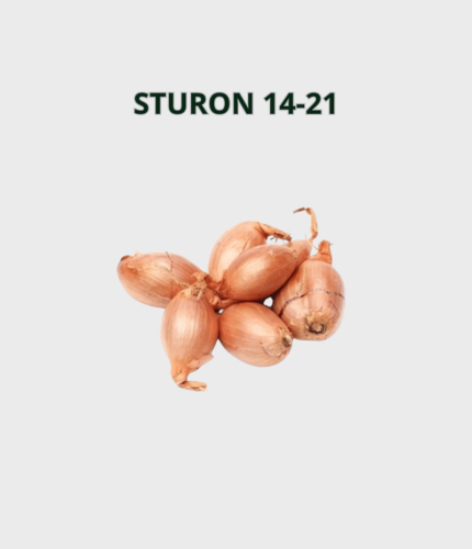 SJEME LUKA 14-21 STURON 25kg