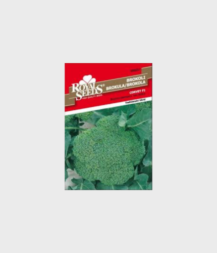 SJEME BROKULA CORVET (ROYAL SEEDS) 1gr