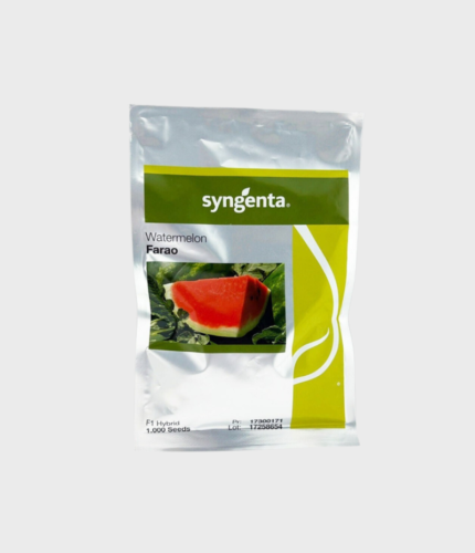 SJEME LUBENICE FARAO F1 (SYNGENTA) 1000sj