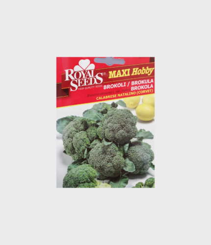 SJEME BROKULA CORVET (ROYAL SEEDS MAXI) 2gr